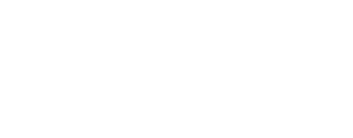 TechGeeks Consulting